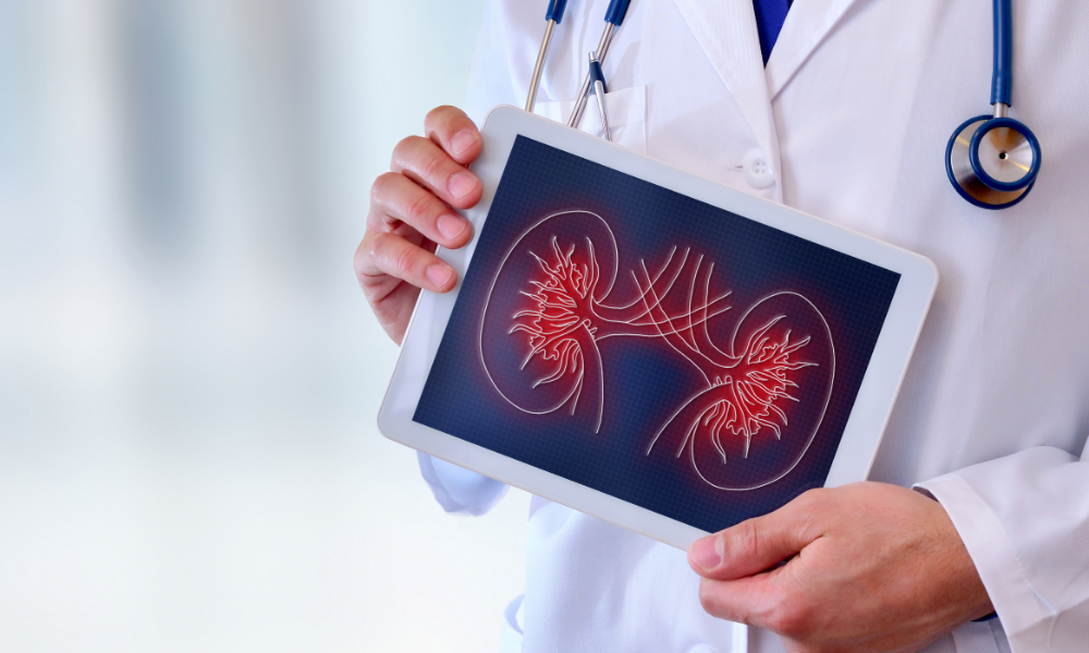 patient visual education Doctor holding a tablet with a kidney image
